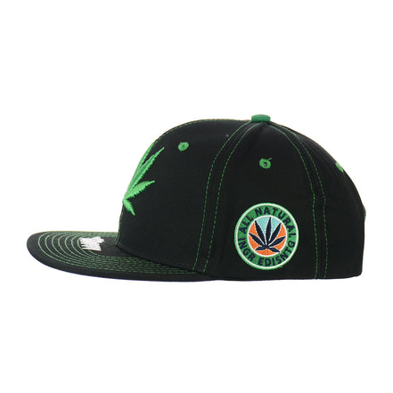 All Natural Ingredient Cannabis Leaf Embroidered Snapback Hat