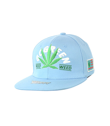 Go Green Leaf Embroidered Snapback Hat