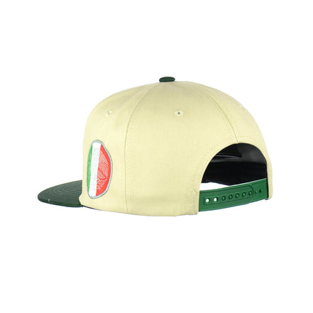 Sinaloa Embroidered Snapback Hat