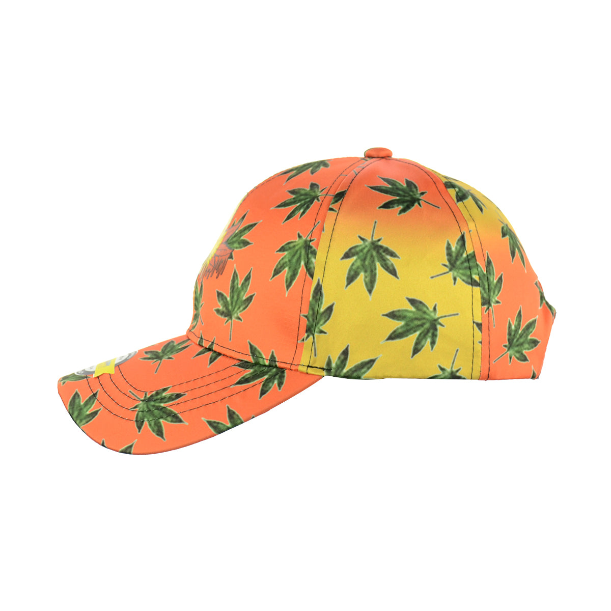 Drippy Rasta Leaf Design Baseball Snapback Hat