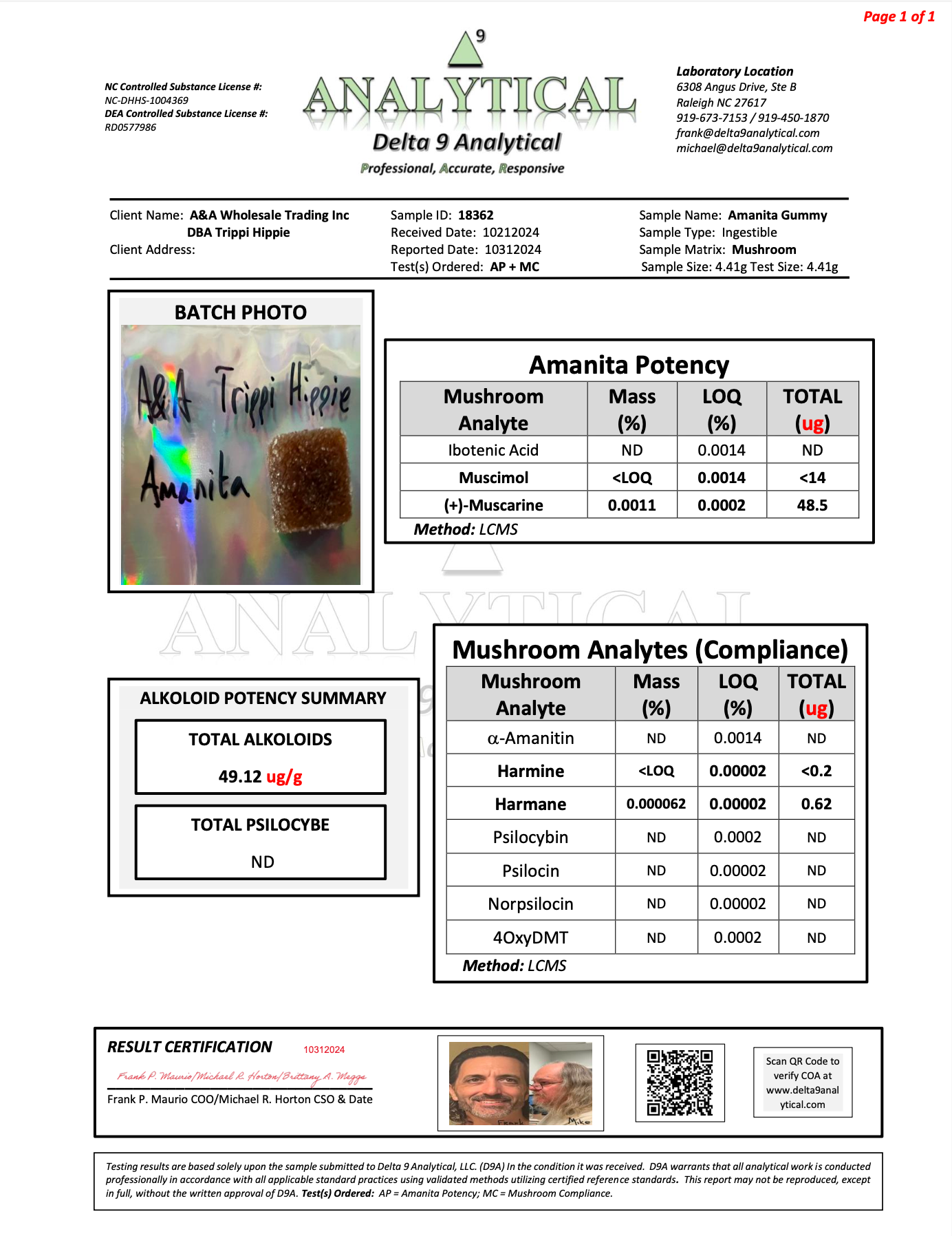 MUSHROOM CHEWS 10 CHEWS PER PACK