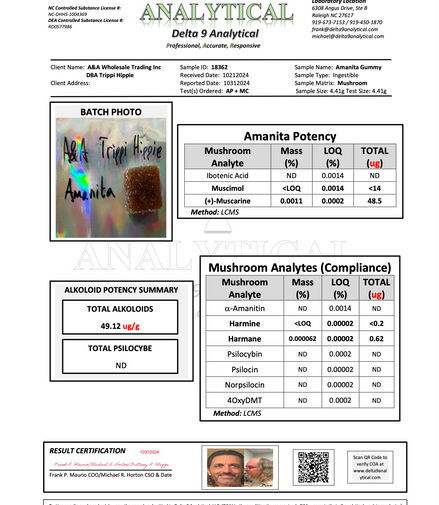 MUSHROOM CHEWS 10 CHEWS PER PACK