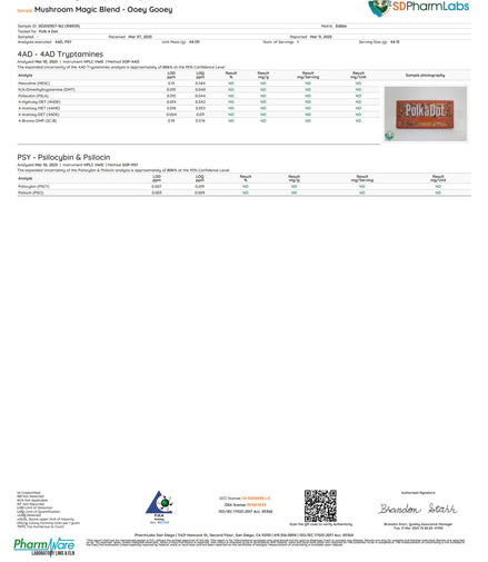 Ooey Gooey Chocolate Bar