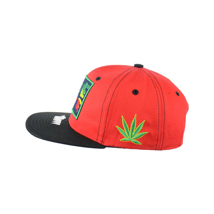 One Love Hat Embroidered Snapback