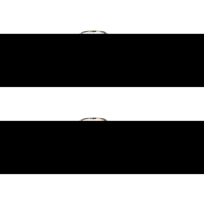 10" Fumed Glass Beaker Made In U.S.A