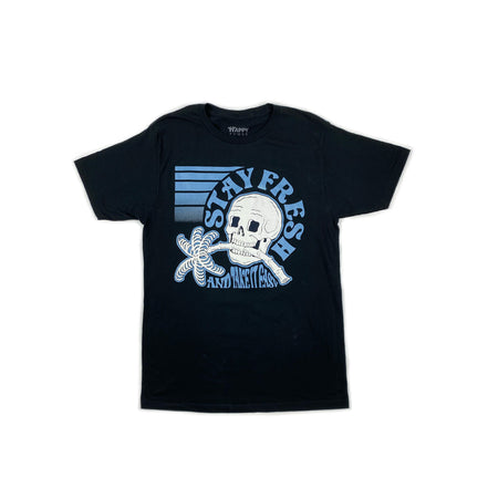 Stay Fresh 100% Cotton T-Shirt, Pack of 6 Units 1S, 2M, 2L, 1XL